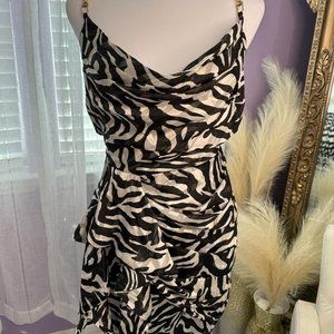 Zebra Dress